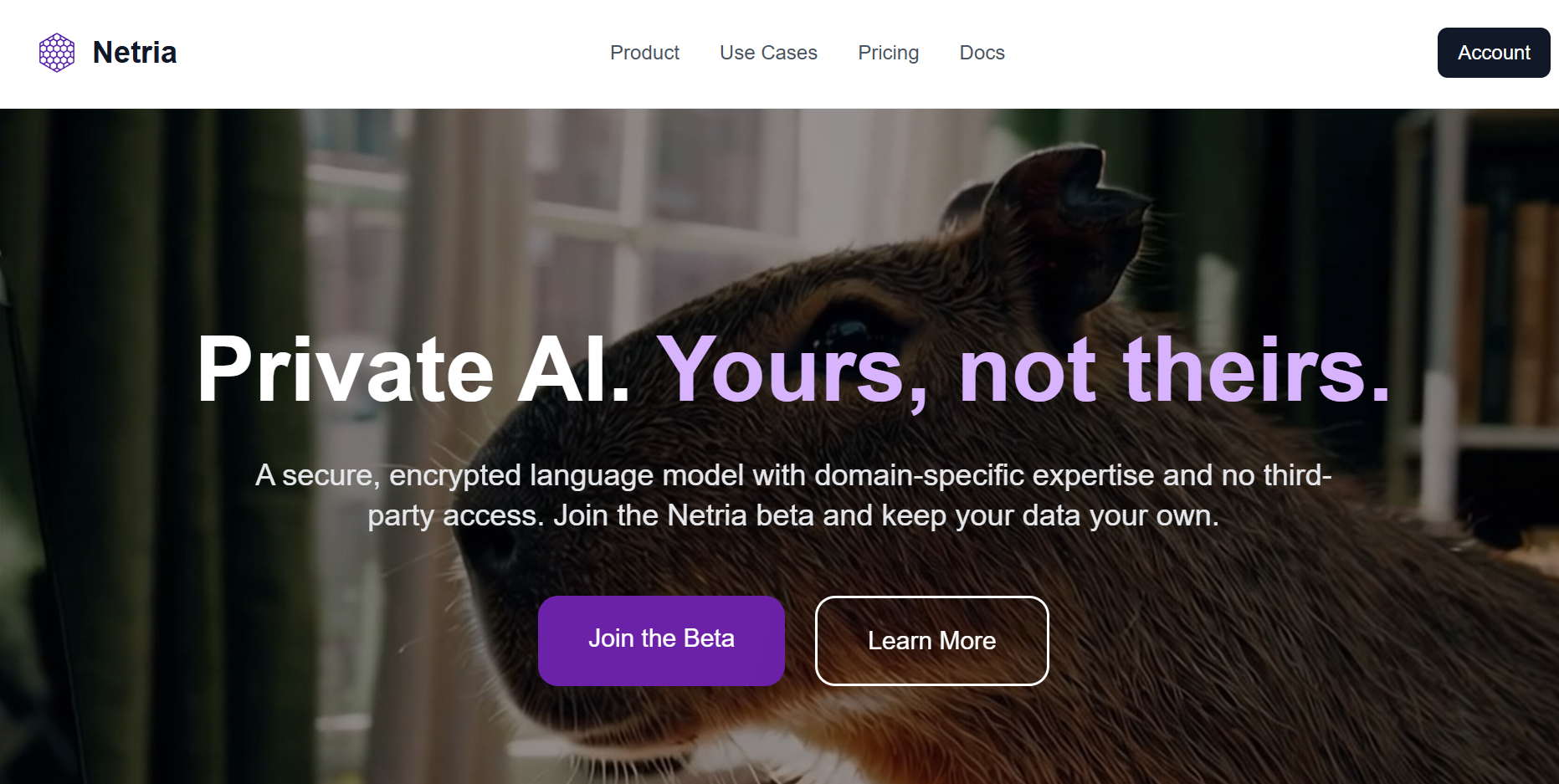 Netria AI chat interface showing conversation with encrypted messaging